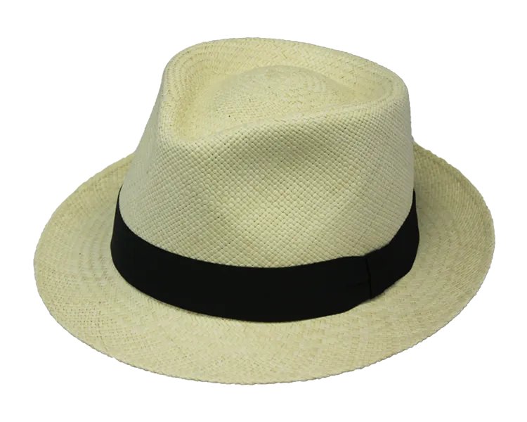 Henschel Hat Company | Deltona Panama Hat