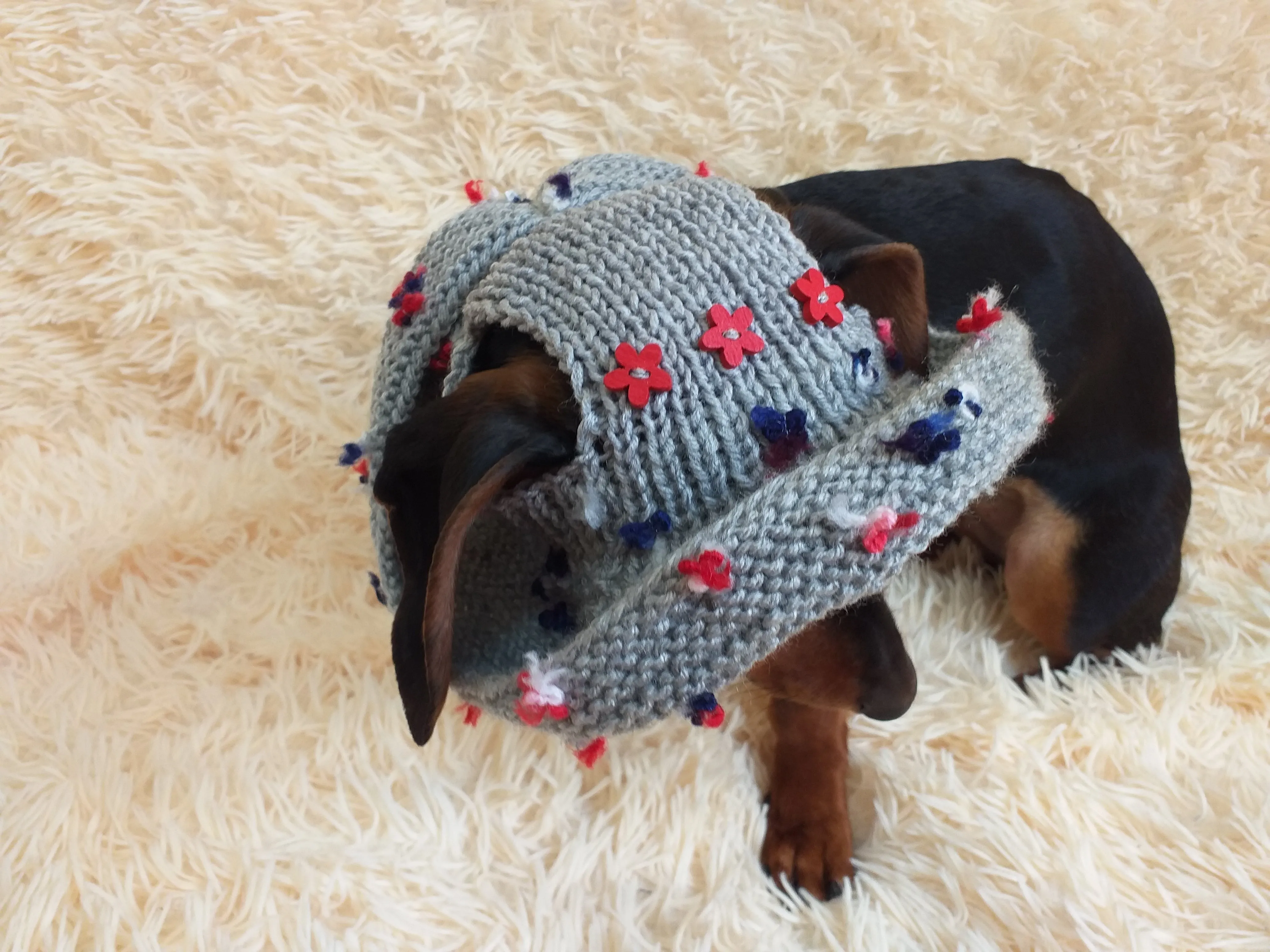 Summer hat for dog with flowers, summer hat with flowers for a dachshund or small dog